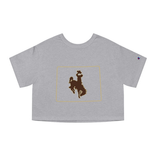 Champion Women's Heritage Cropped T-Shirt